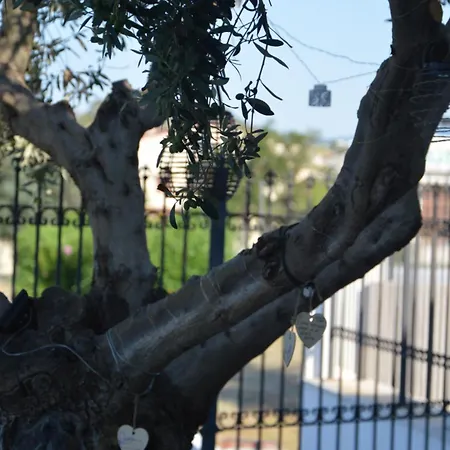 Guest house Ego' Marine Mandatoriccio Marina