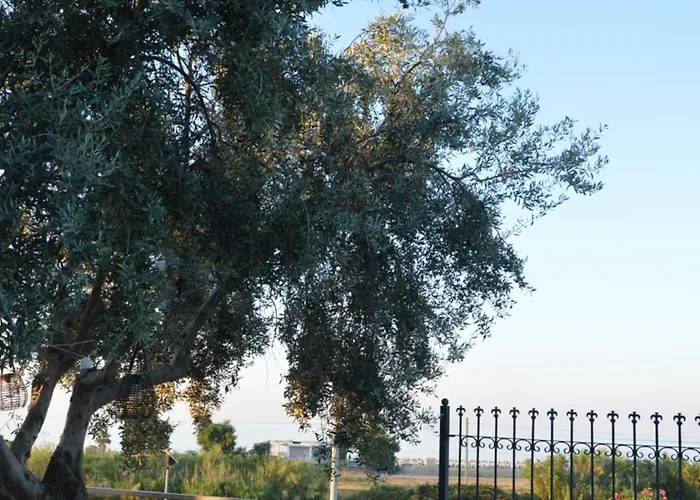 Ego' Marine Sea View, 招待所