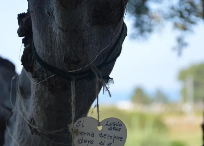 Ego' Marine Mandatoriccio Marina