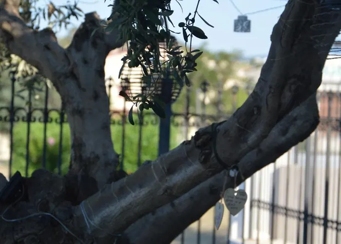 招待所 Ego' Marine Sea View, 曼达托里乔码头